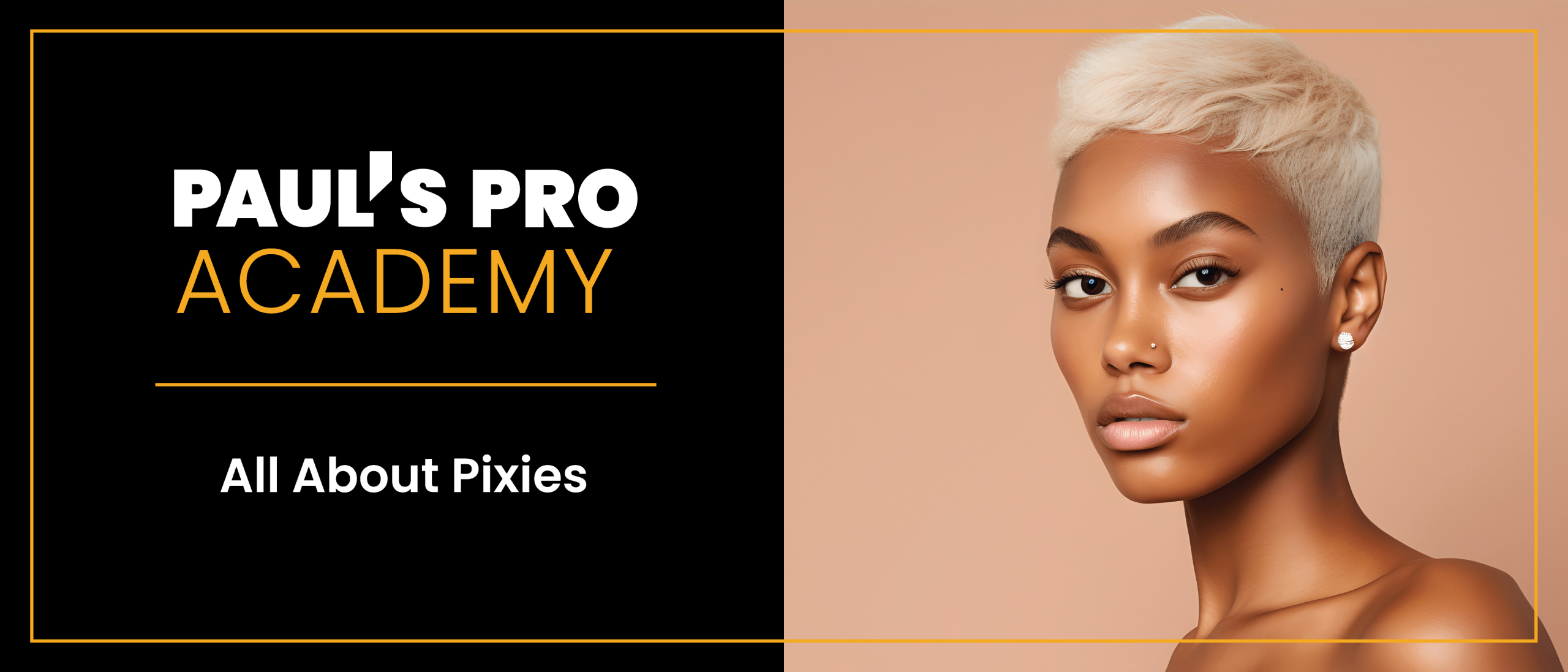 All About Pixies   October 20th, 2025 | Capitol Heights