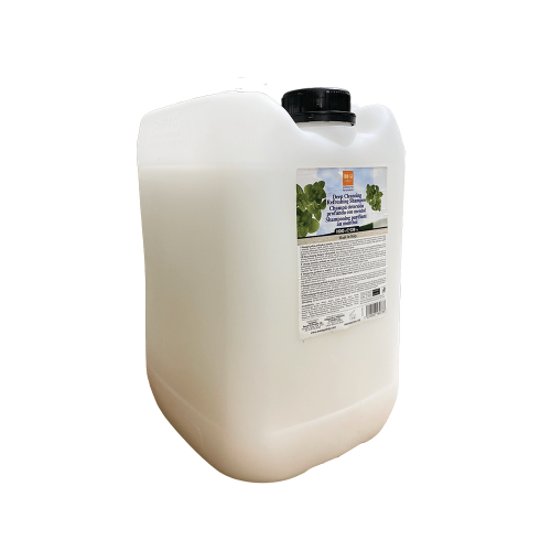 EVER EGO MENTHOL SHAMPOO 10 L