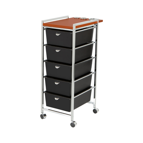 PIBBS CART 5 DRAWER WITH ART 70 D29 WOOD