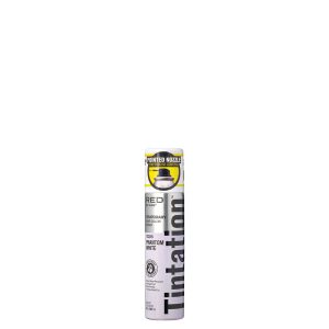 Kiss Tintation Color Spray Phantom White